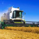 Entire Global Food Supply at Risk From Disastrous Response to So-Called ‘Nitrogen Crisis’